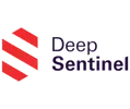 Deep Sentinel Official Logo